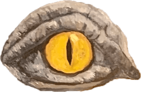 Metra Mitchell monster eye