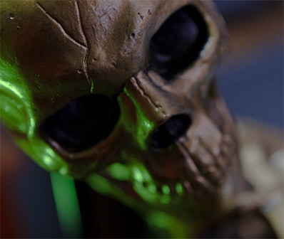 Metra Mitchell skull