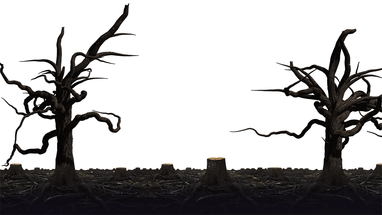 Metra Mitchell tree background