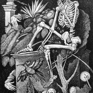 Spooky Silly Skellie